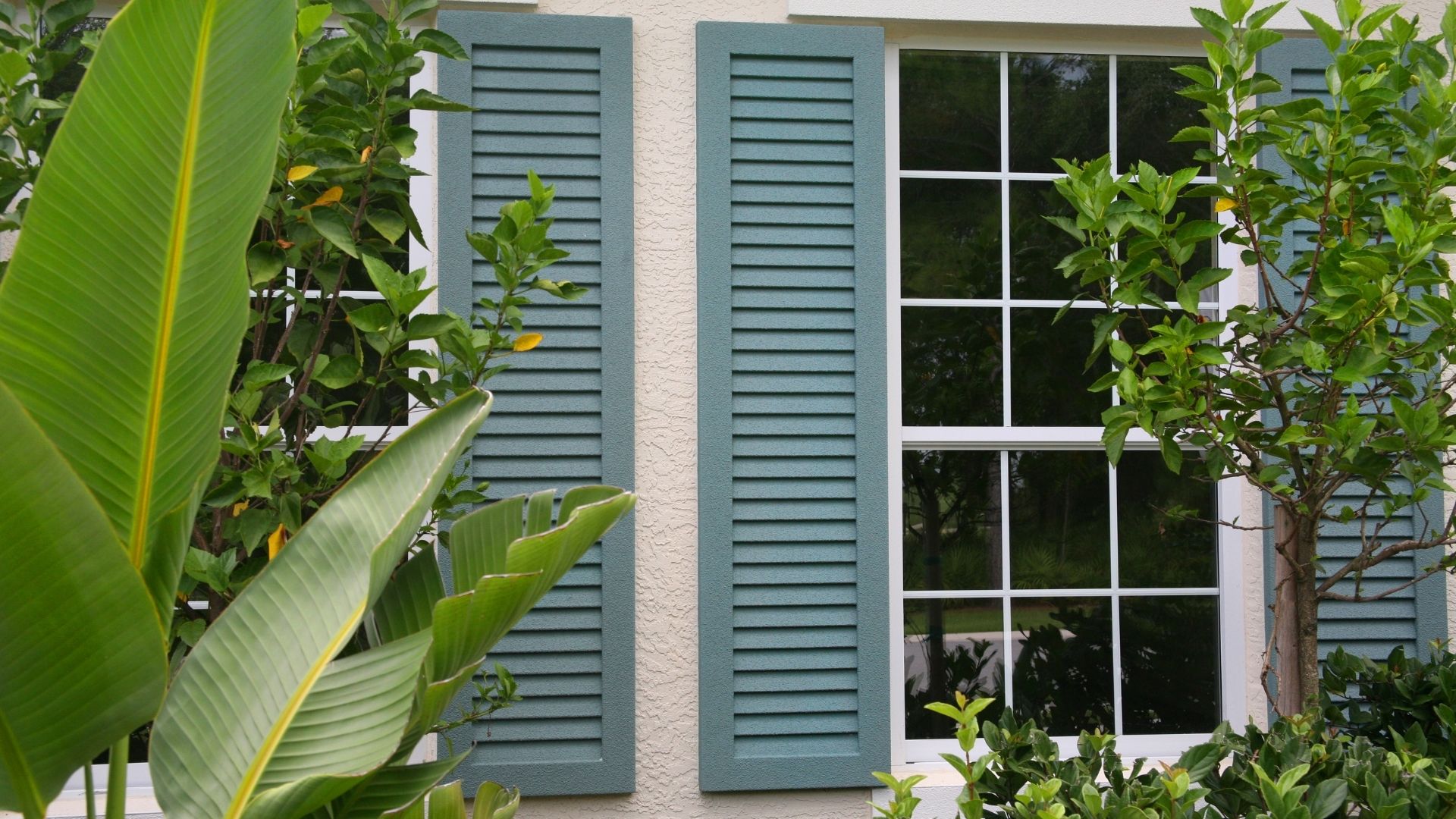 Rénovation de volets à Nimes 1